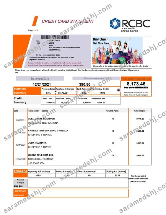 Philippines Rizal Commercial Banking Corporation (RCBC) credit card statement template in .xls and .pdf file format